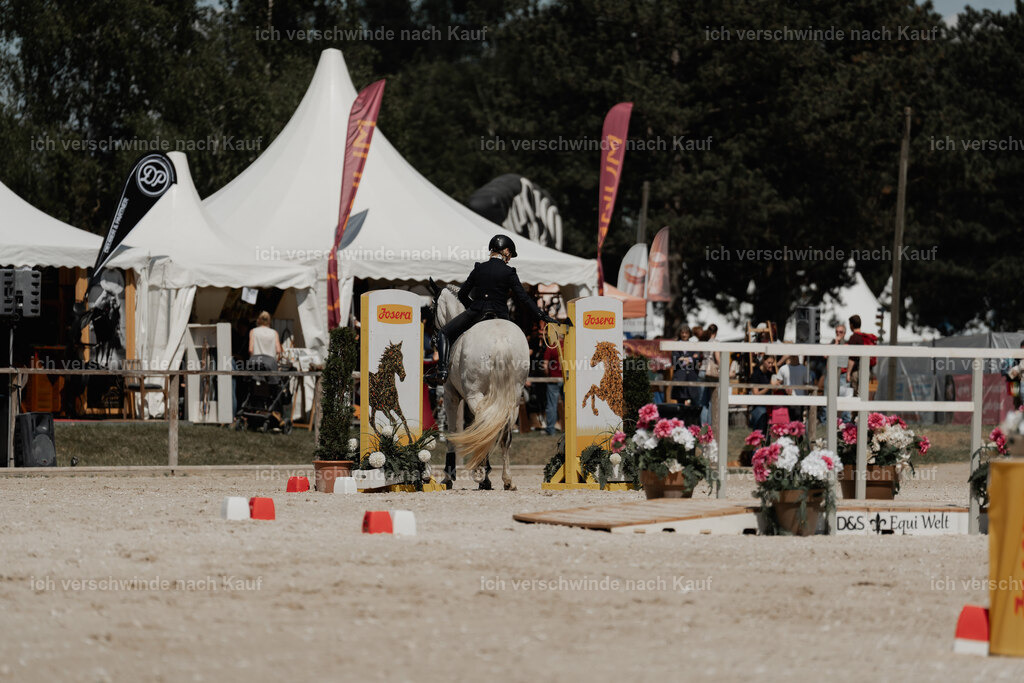 WE_ST_Stoib_331_PI2025_1413 | 330Pferd International München 2025