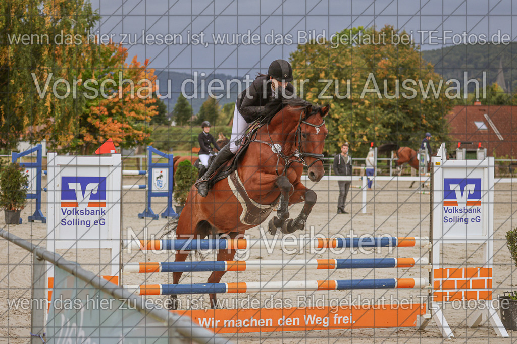 2025-09-22_09-40-35_MG_4232 | TE-Fotos