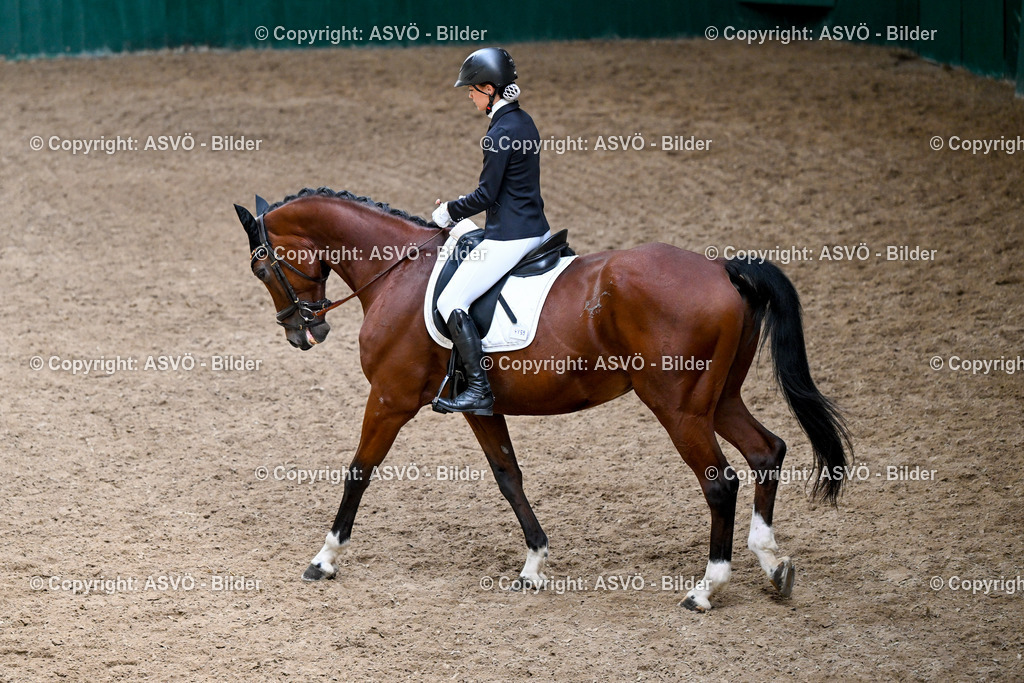ASVÖ_ Reiten Bezirksmeisterschaft_ 24.08.2025-43 | 24.08.2025, AUT, ASVÖ, Reiten Bezirksmeisterschaft 2025Dressur und Springreiten©fodo.media / Harald Dostal - Realisiert mit Pictrs.com