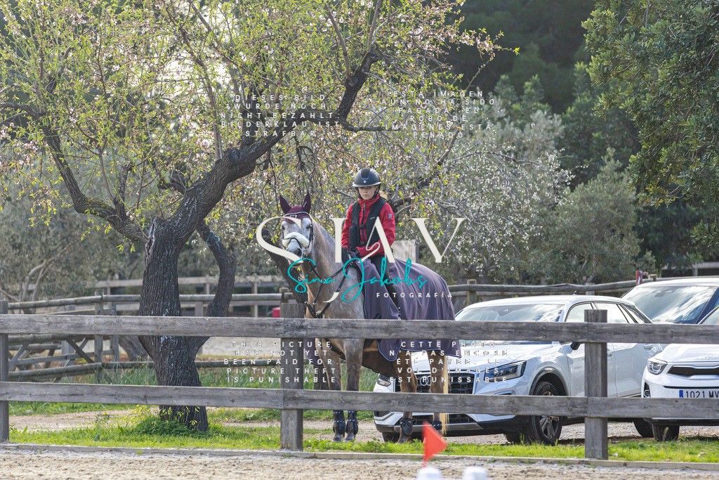 IMG_5112 | s-jay-photography - Realisiert mit Pictrs.com