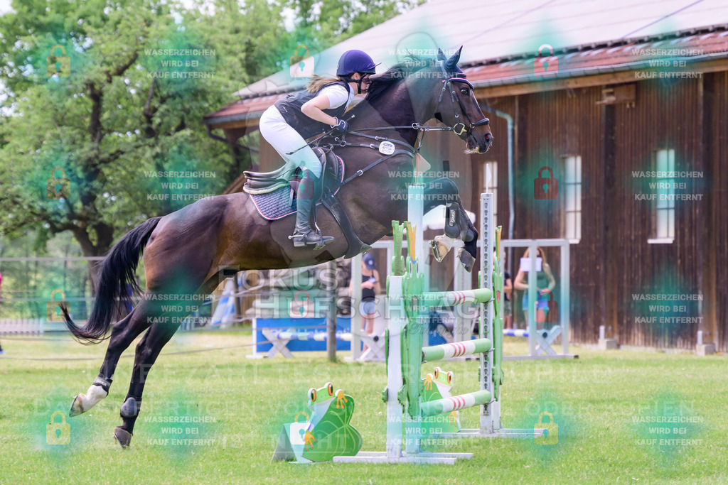30052026-Forstinning-Prfg23-0212 | Fokus Hufschlag Fotografie - Realisiert mit Pictrs.com