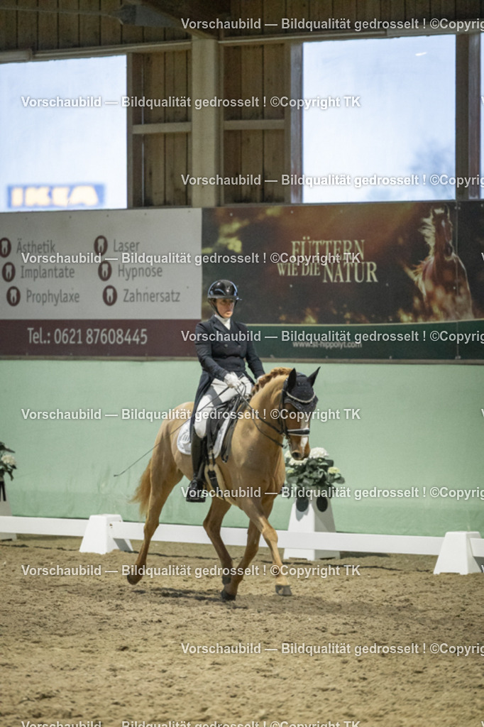 _D5A7221 | Emotionale Pferde- & People-Fotografie rund um Heidelberg, Leimen & Umgebung. Natürliche Fotos von Pferd, Mensch & Familie. Jetzt Termin sichern!