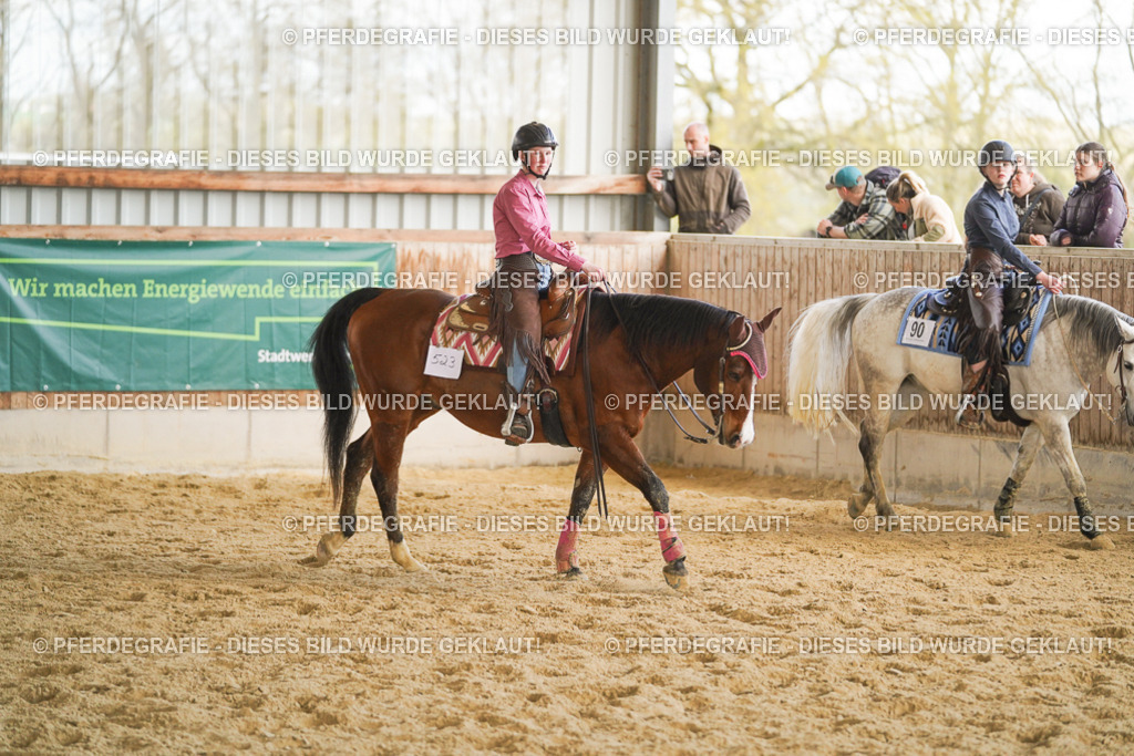 DSC08836 | Pferdegrafie