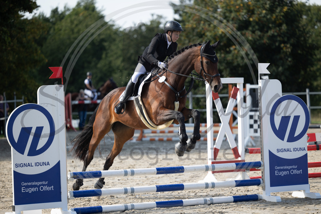 994A1720 | sabrinanicolaifotografie - Realisiert mit Pictrs.com