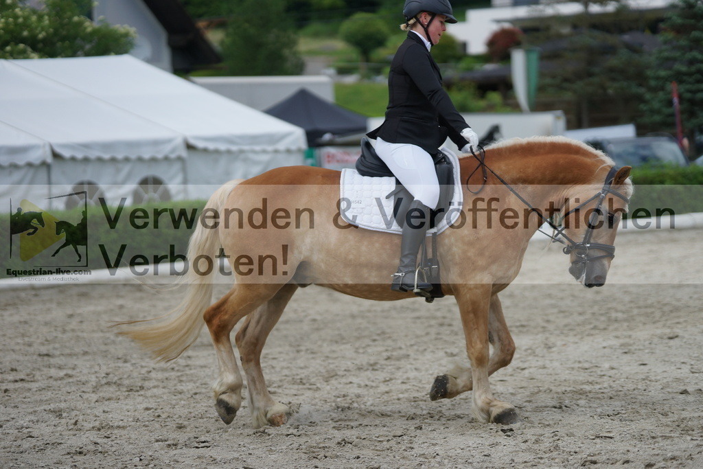 DSC05456 | equestrian-live-com