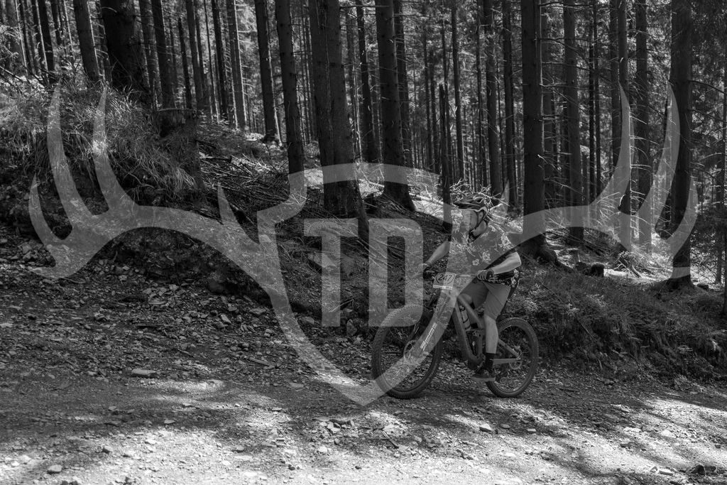 L1010734 | Fotogalerie der Treibjagd im Dunkelwald - Dein MTB Etappenrennen im Erzgebirge - Realisiert mit Pictrs.com