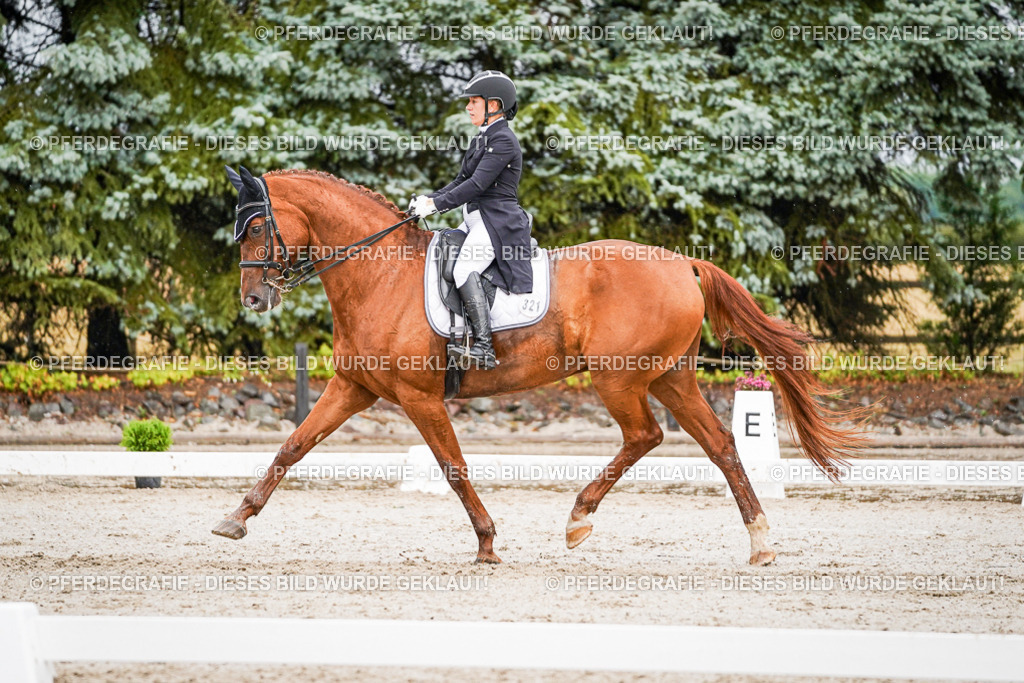 DSC09470 | Pferdegrafie