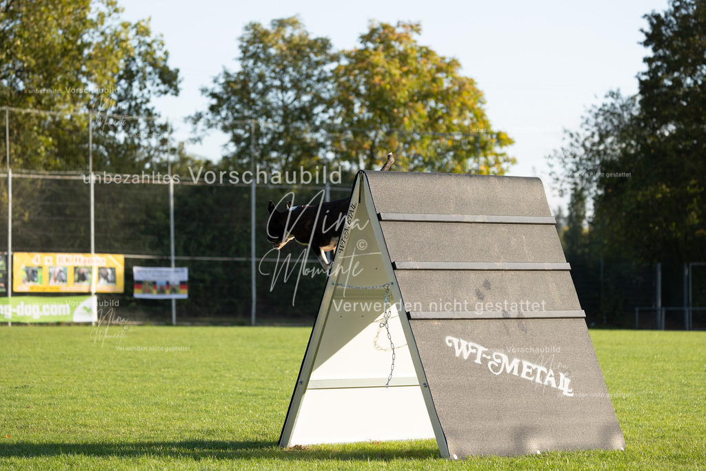 _16A6126 | Einzigartige Fotos von Hunden & Menschen –Actionfotos, Portraits, Vereinsaufnahmen & Paarshootings – authentisch, lebendig & mit Herz.