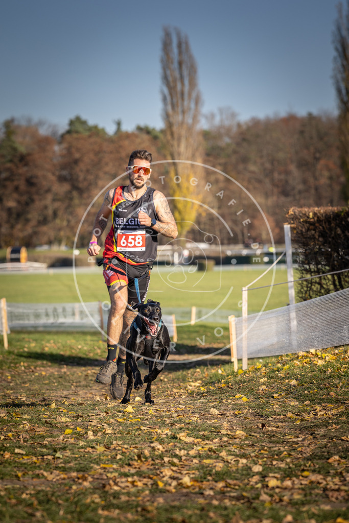 CaniXpix_DV3A0611 | Hundefotografie, Tierfotograf, Pfotenfotografie, Fotoshooting Hund, Hunde Portrait, Hundesport, Hundeportraits, Heideshooting, Hunde, Sportfotograf, Hundefotograf, Turnierhundsport, THS,  - Realisiert mit Pictrs.com