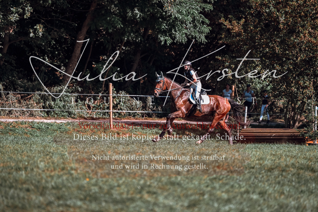 DSC_1002 | Pferde- und Turnierfotografie in Westsachsen. Pferdeportraits, Auftragszeichnungen und intuitive Kunst.