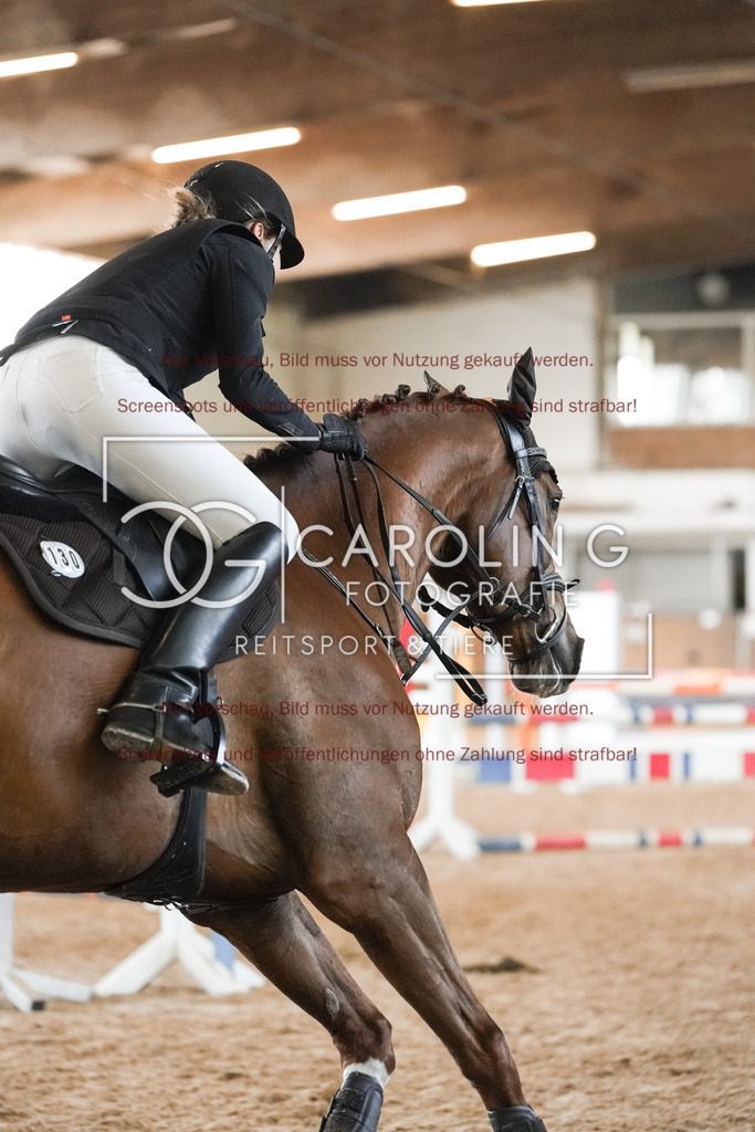 DSC09884 | Reitturnier_Göppingen_April_2026, Merrit_Reiniger, Central_Fox