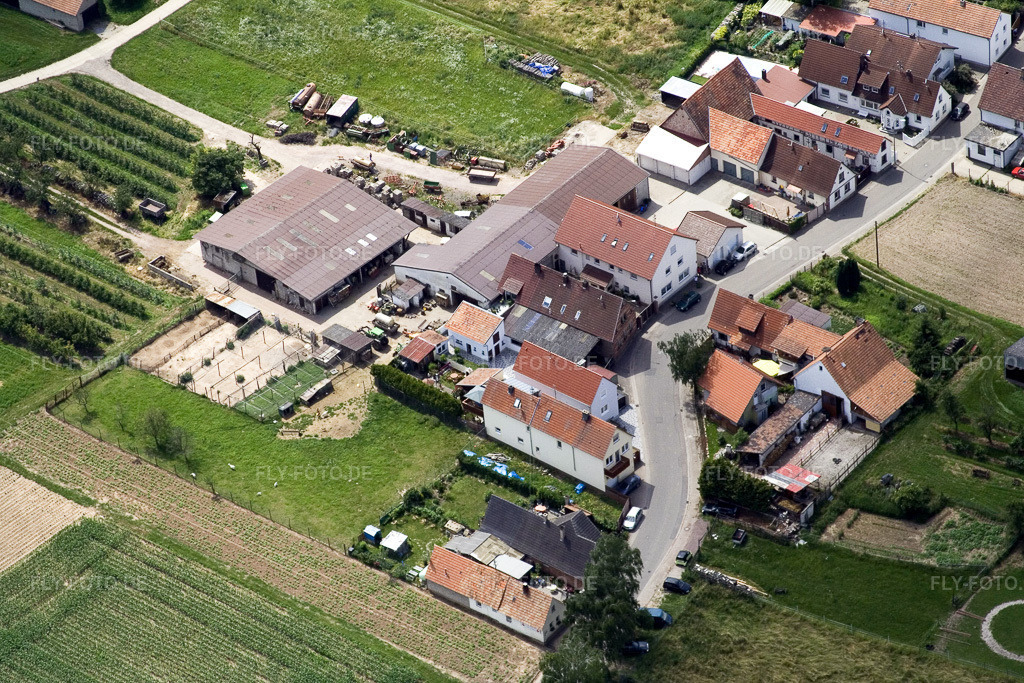 Luftbild: Wiesenstr im Ortsteil Mühlhofen in Billigheim-Ingenheim im Bundesland Rheinland-Pfalz in Deutschland. Foto: IMG_11212.jpg vom 14.06.2008 durch Werner Riehm/FLY-FOTO.de