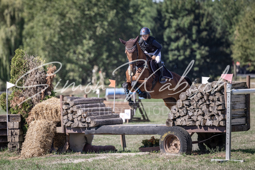 20260906-_3LI2884 | Tierfotografie Pferde, Hunde, Katzen, Haustiere.
Turnierfotografie Reitturniere, Reiten, Springreiten, Dressur in Hanau, dem Main-Kinzig-Kreis und dem Rhein-Main- Gebiet um Frankfurt