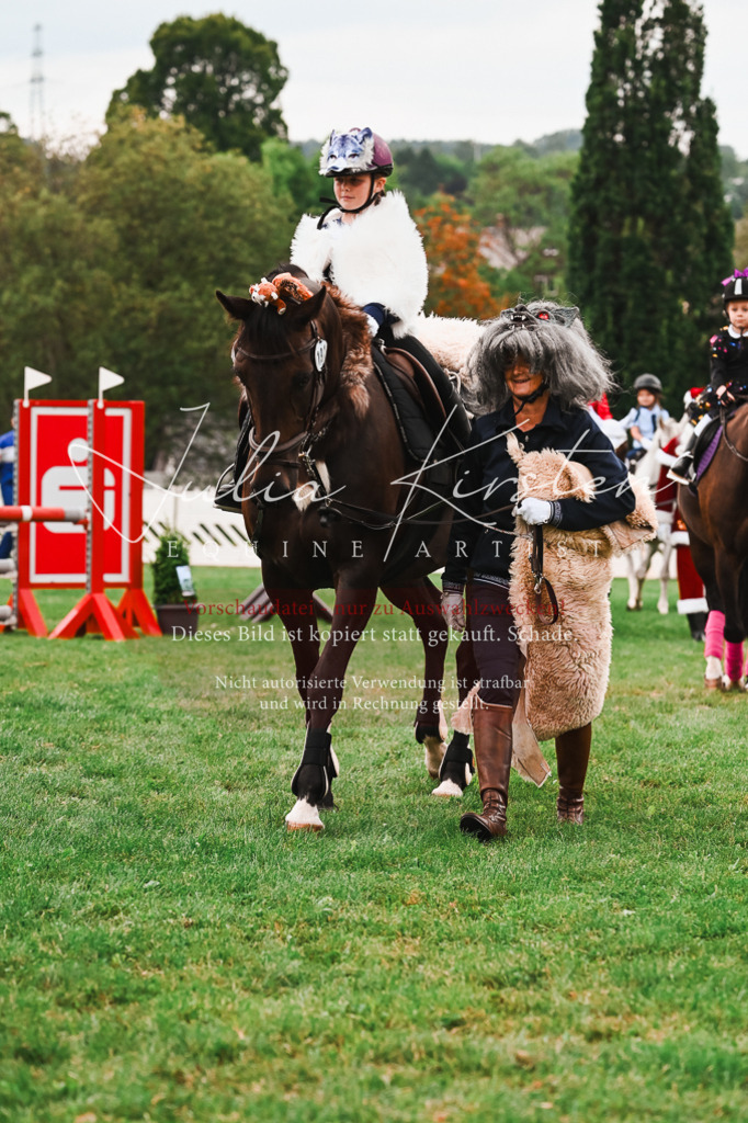 DSC_7507 | Pferde- und Turnierfotografie in Westsachsen. Pferdeportraits, Auftragszeichnungen und intuitive Kunst.