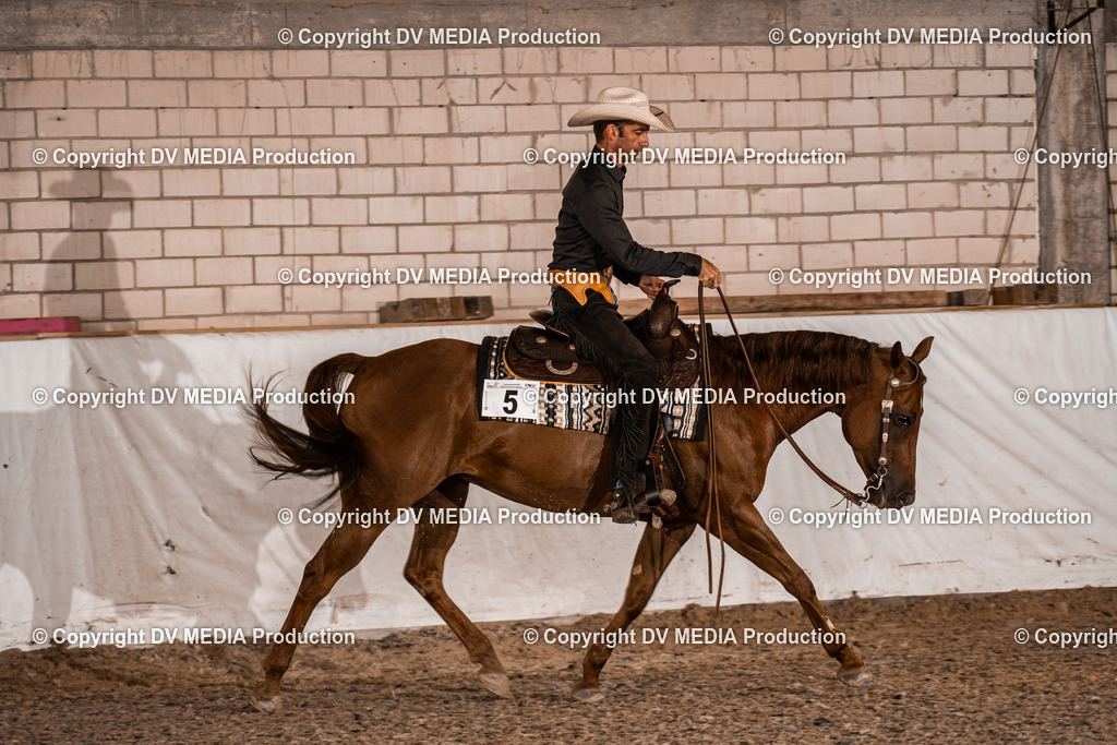 ZH200048 | dv-media-shop - Realisiert mit Pictrs.com