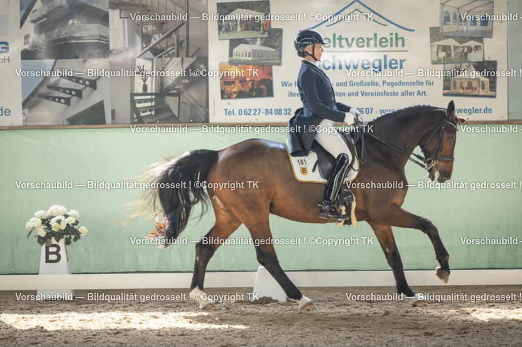 _D5A1486 | Emotionale Pferde- & People-Fotografie rund um Heidelberg, Leimen & Umgebung. Natürliche Fotos von Pferd, Mensch & Familie. Jetzt Termin sichern!