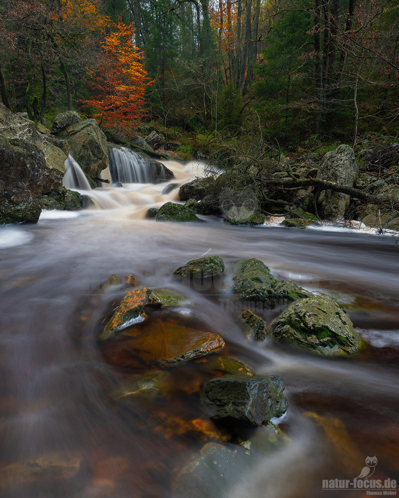 R5NF3325_20231119-3 | Herbstliche Landschaft mit Gebirgsbach. - Realisiert mit Pictrs.com