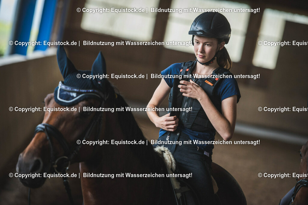 20190811_Sturzweste_0036 | equistock