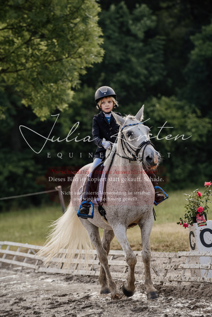 DSC_8280 | Pferde- und Turnierfotografie in Westsachsen. Pferdeportraits, Auftragszeichnungen und intuitive Kunst.