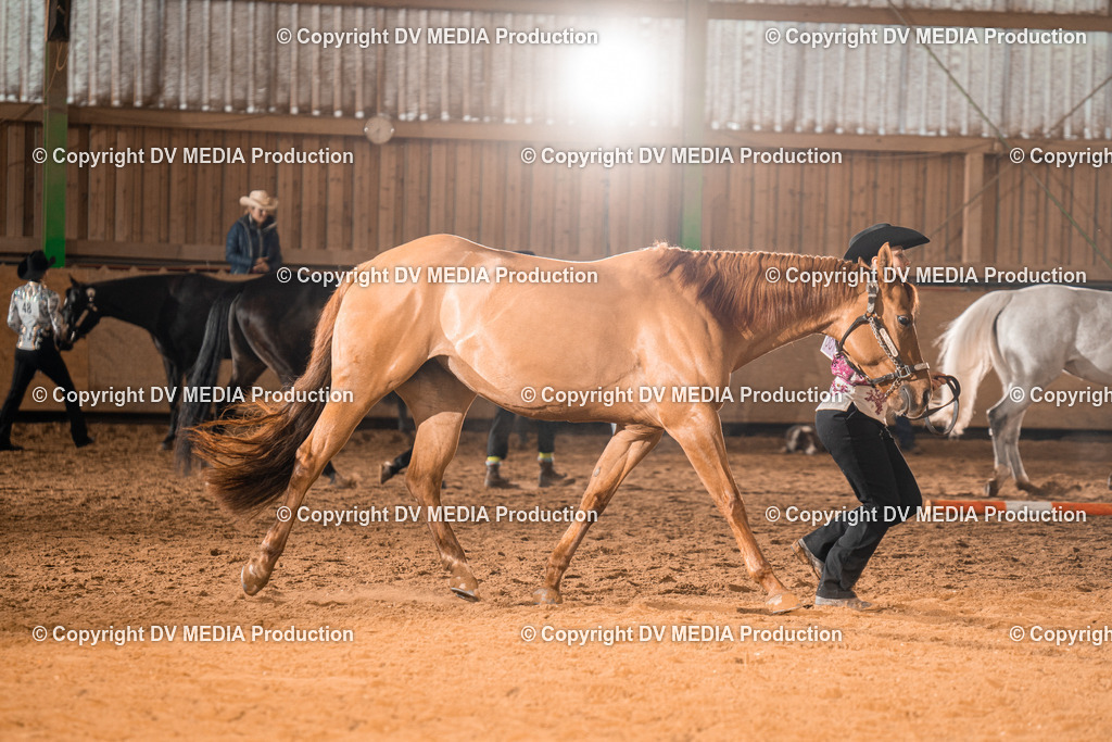 BAL01349 | dv-media-shop - Realisiert mit Pictrs.com