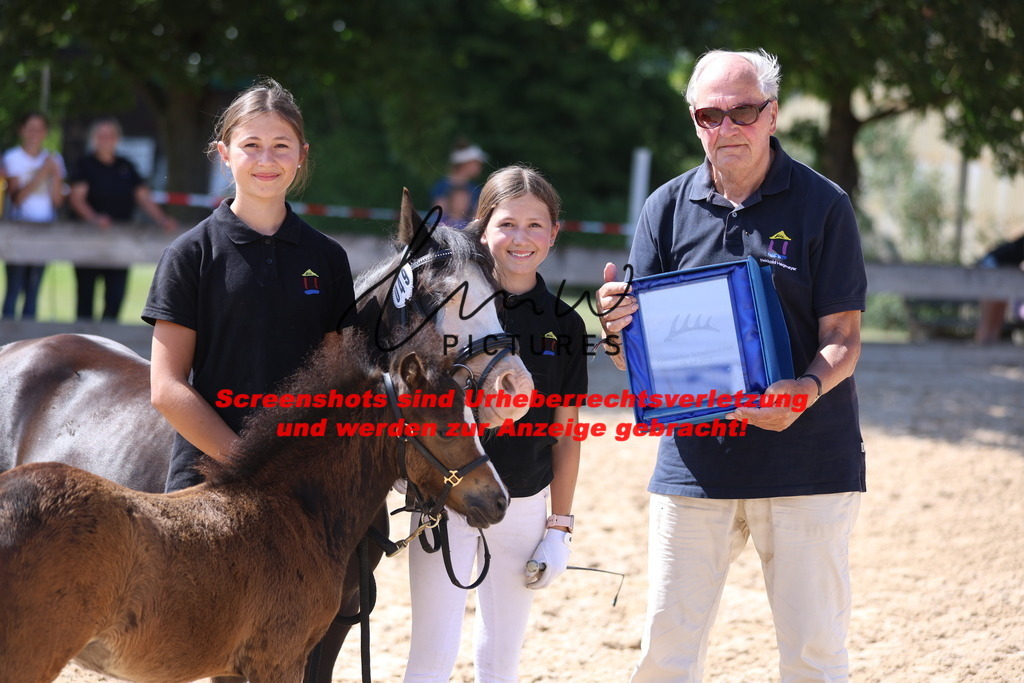 Fohlenschau_Schwäbisch_Hall_IMPRESSIONEN_21 | lmwpictures - Realisiert mit Pictrs.com