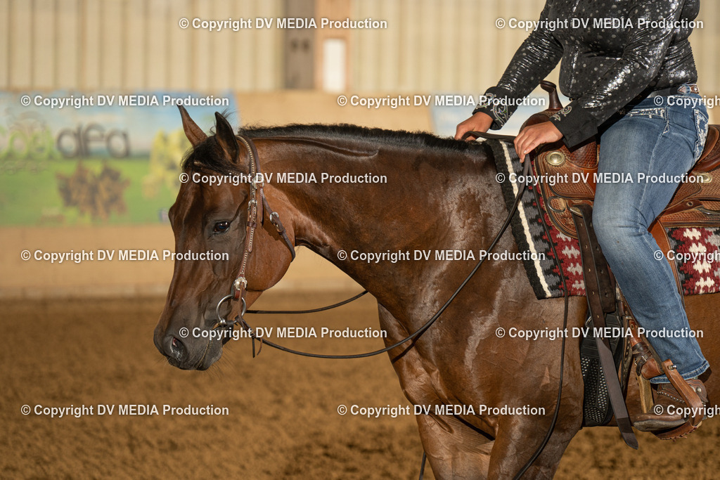 LAU00528 | dv-media-shop - Realisiert mit Pictrs.com