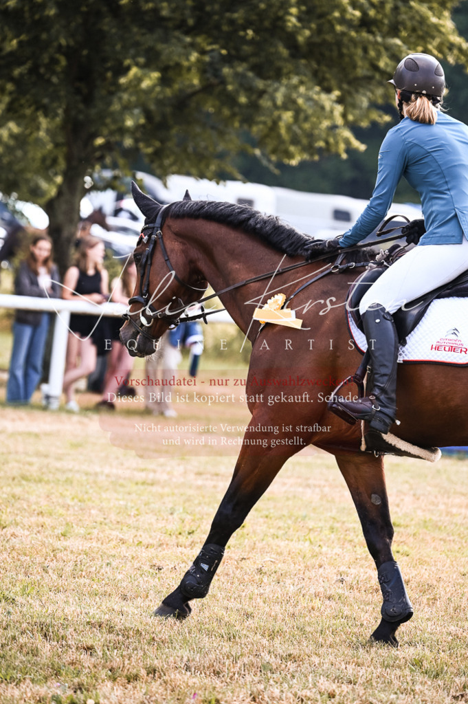 DSC_7670 | Pferde- und Turnierfotografie in Westsachsen. Pferdeportraits, Auftragszeichnungen und intuitive Kunst.