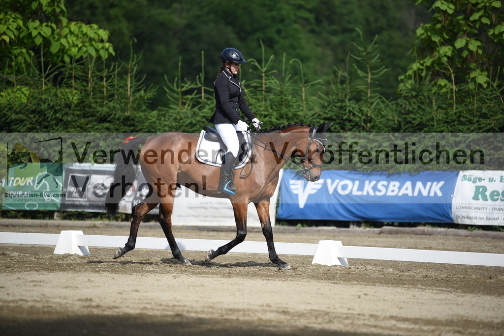DSC_7596 | equestrian-live-com