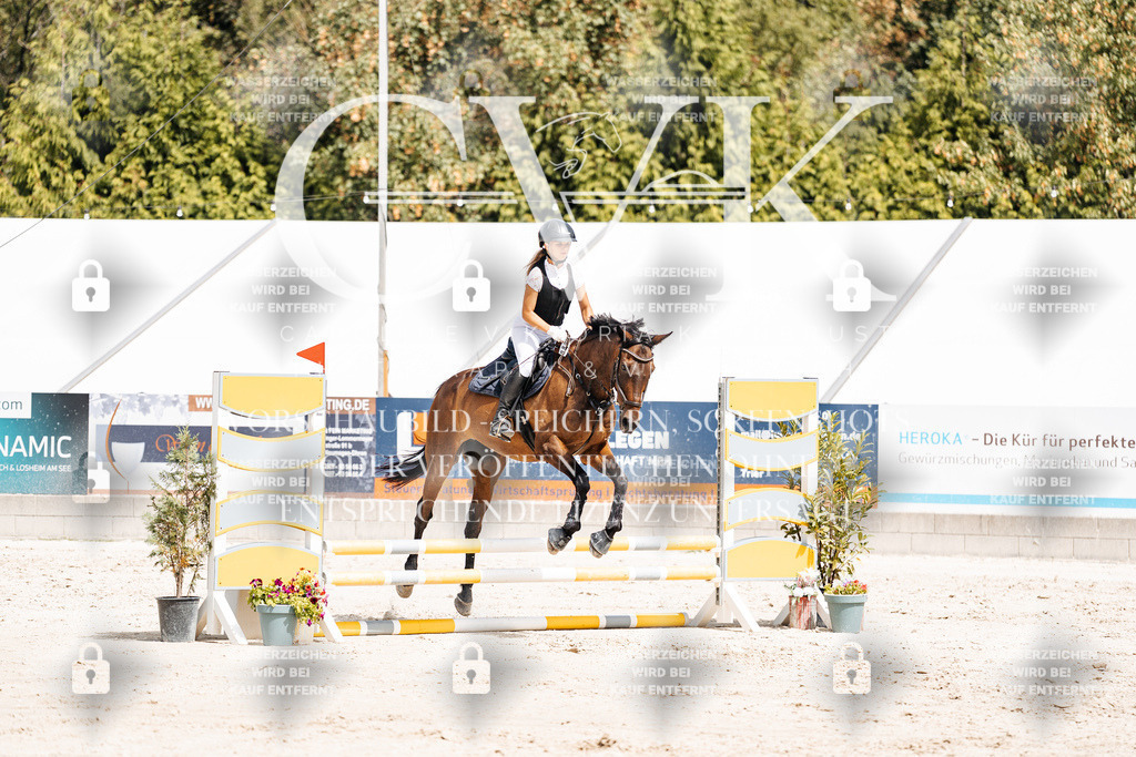 CK906723 | Turnierfotografie Pferdefotografie Trier Rheinland-Pfalz Pferdesport Reitsport Tierfotografie Sportfotografie Pferdevideo Pferdevideografie Equestrianvideography equestrianphotography  - Realisiert mit Pictrs.com