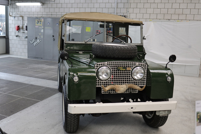 Calag_Oldtimer2025-02 | Ich fotografiere Hundeausstellungen, Sportanlässe, Zuchtstätten, Hundezucht, Hundeportrait, Lagotto - Realisiert mit Pictrs.com