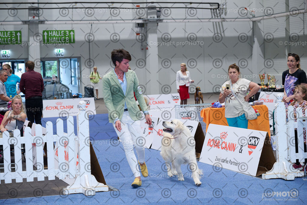 202406_ÖKV-IHA-Tulln24_NZ9_9599 | proPHOTO - Realisiert mit Pictrs.com