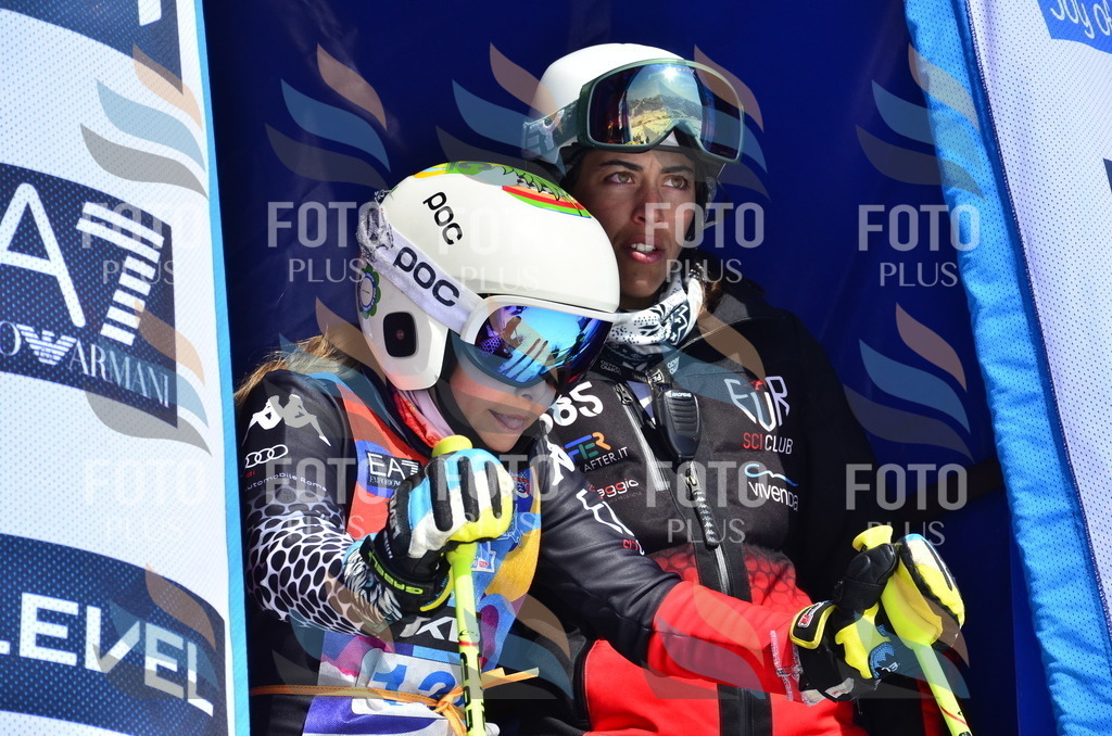 _ELE0858 | holidayphoto