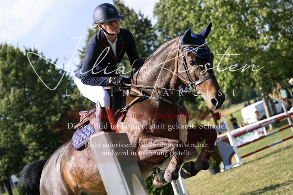 DSC_1440 | Pferde- und Turnierfotografie in Westsachsen. Pferdeportraits, Auftragszeichnungen und intuitive Kunst.