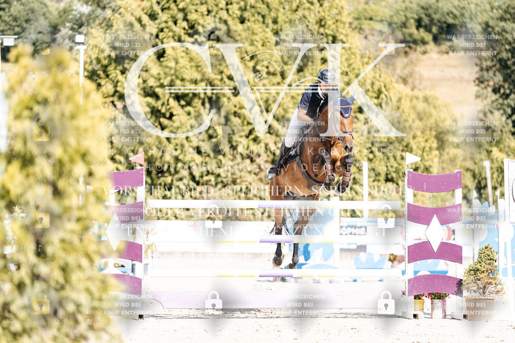 CK909035 | Turnierfotografie Pferdefotografie Trier Rheinland-Pfalz Pferdesport Reitsport Tierfotografie Sportfotografie Pferdevideo Pferdevideografie Equestrianvideography equestrianphotography  - Realisiert mit Pictrs.com