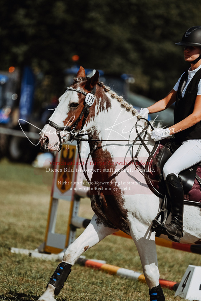 DSC_9814 | Pferde- und Turnierfotografie in Westsachsen. Pferdeportraits, Auftragszeichnungen und intuitive Kunst.