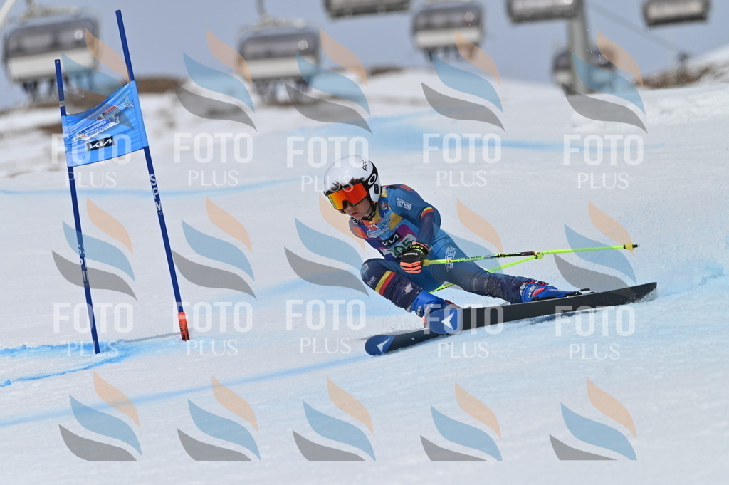 BGV_3949 | holidayphoto