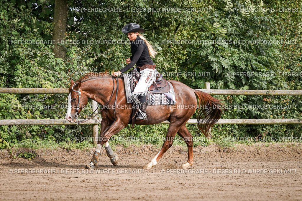 DSC09737 | Pferdegrafie