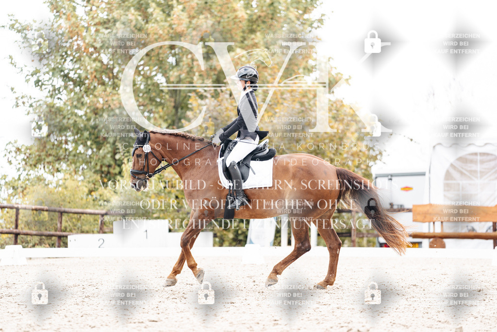 CK900841 | Turnierfotografie Pferdefotografie Trier Rheinland-Pfalz Pferdesport Reitsport Tierfotografie Sportfotografie Pferdevideo Pferdevideografie Equestrianvideography equestrianphotography  - Realisiert mit Pictrs.com