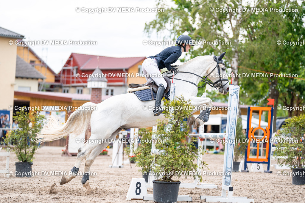 Eppelheim Tag 2-566 | dv-media-shop - Realisiert mit Pictrs.com