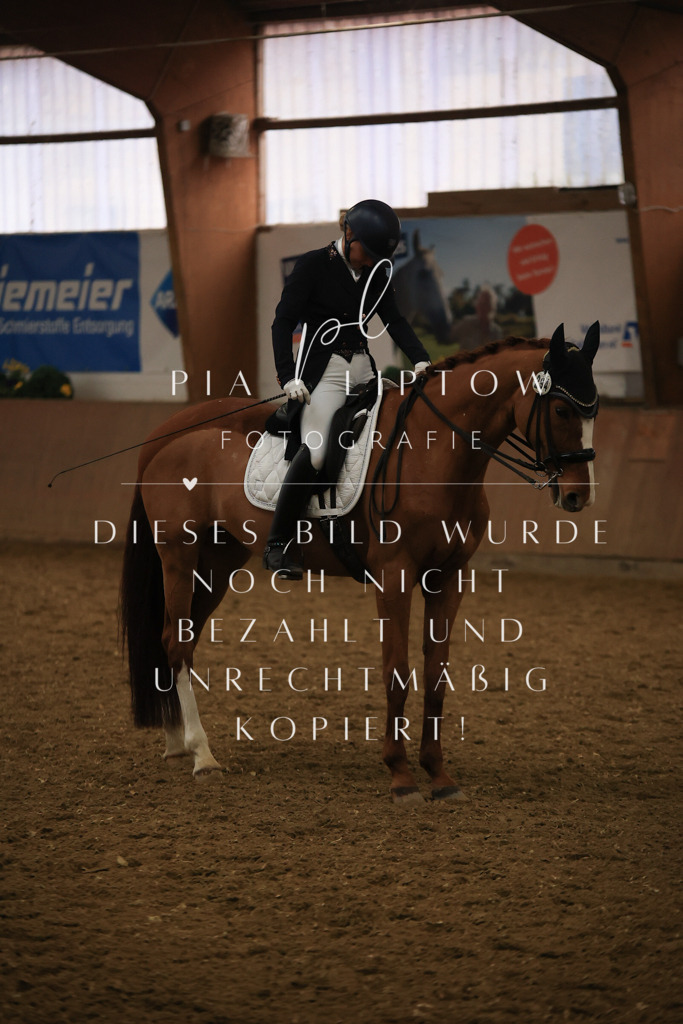 IMGT6016 | pl-fotografie