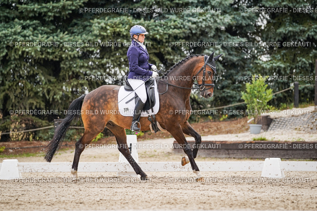 DSC02042 | Pferdegrafie