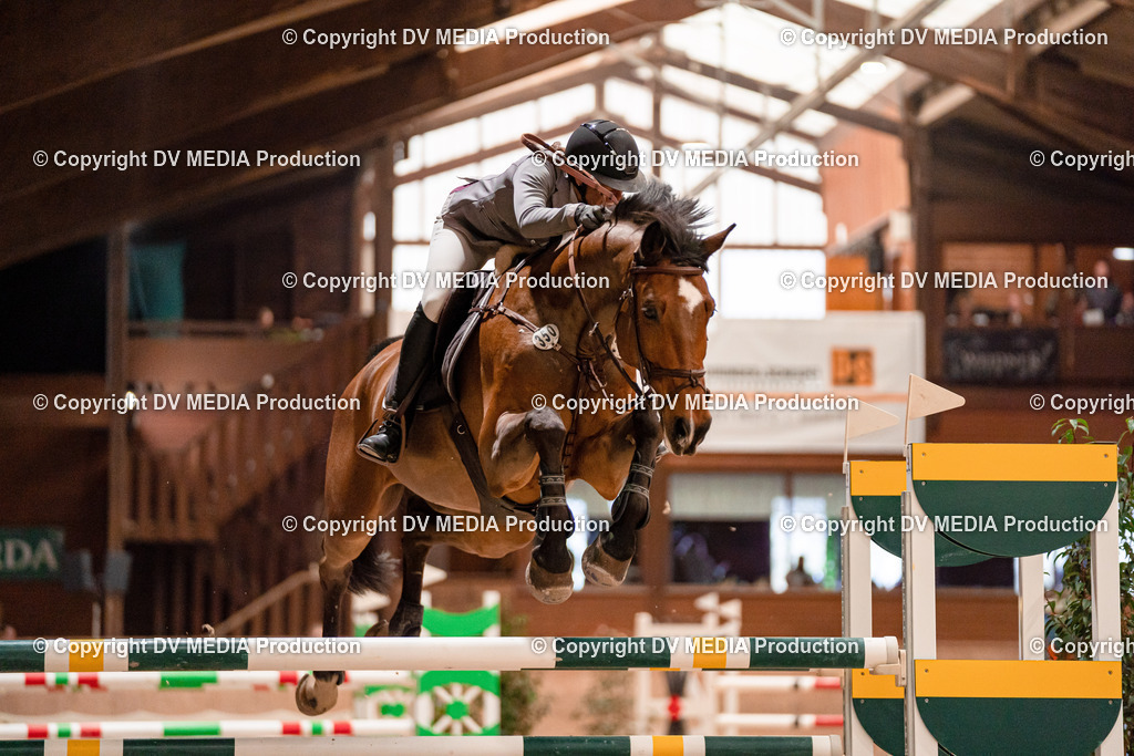 Springen Tag 1-697 | dv-media-shop - Realisiert mit Pictrs.com