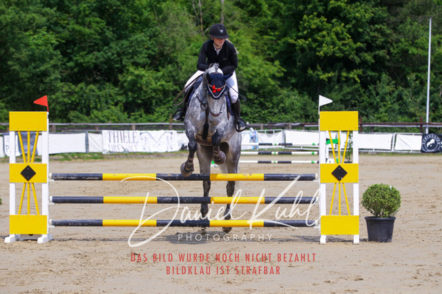 DKP41448 | Turniersportfotografie; Pferdefotografie; Dressurfotografie