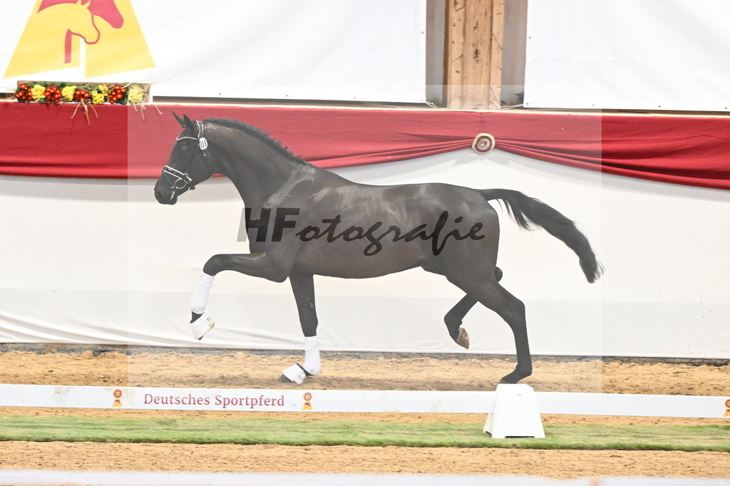 Kat.-Nr. 39 v. De Chirico_Schadock_3260287 | hf-fotografie - Realisiert mit Pictrs.com