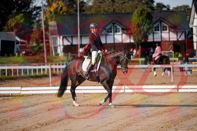 2026_10_03_Siefer-Hof_113333_Z63_19834239 | Professionelle Reitsport-, Turnier- und Eventfotografie von Robert Broda. Galerien mit ausgewählten und bearbeiteten Bildern direkt online ansehen und bestellen.