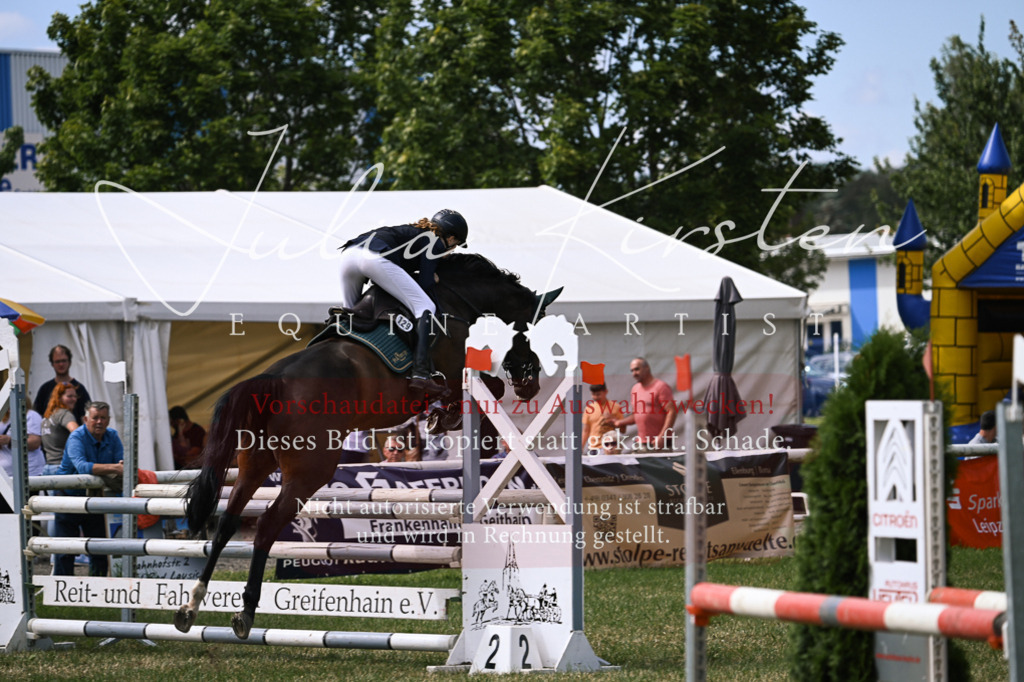 DSC_0601 | Pferde- und Turnierfotografie in Westsachsen. Pferdeportraits, Auftragszeichnungen und intuitive Kunst.