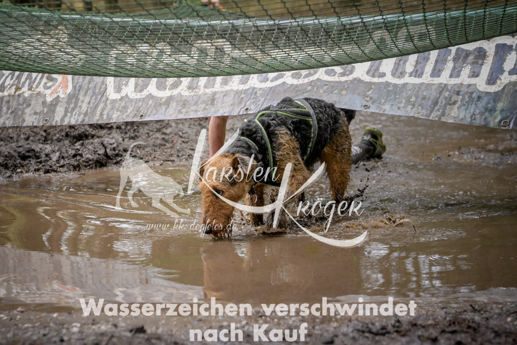 1002_ZZ98995 | kk-dogfotos