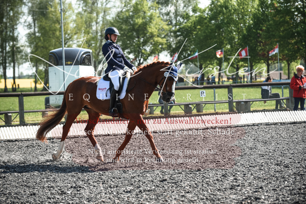 DSC_8845 | Pferde- und Turnierfotografie in Westsachsen. Pferdeportraits, Auftragszeichnungen und intuitive Kunst.
