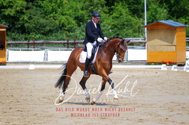 DKP46028 | Turniersportfotografie; Pferdefotografie; Dressurfotografie