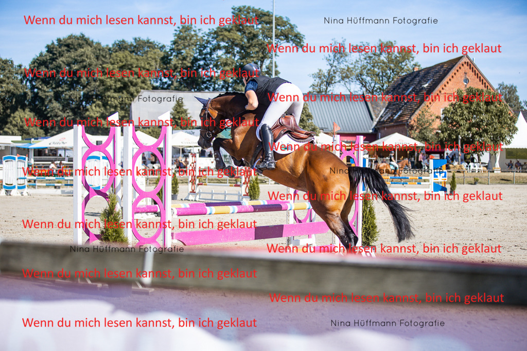 BK1A7171 | Turnierbilder Turnierfotos Nina Hüffmann Turnierfotografie Pferdefotografie Tierzeichnung Haustierzeichnung Pferdezeichnung Hundezeichnung Videograf  - Realisiert mit Pictrs.com